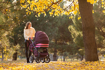 Image showing Girl with a stroller with a newborn baby walks in a beautiful park