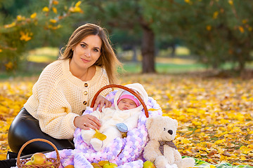 Image showing Mom sits on a picnic with the baby in the basket