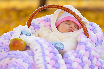 Image showing Baby sleeps in basket in autumn park, next to it is an Apple