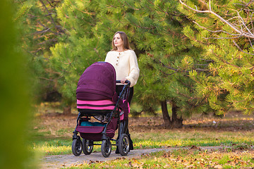 Image showing Mom walks with newborn baby in autumn city park