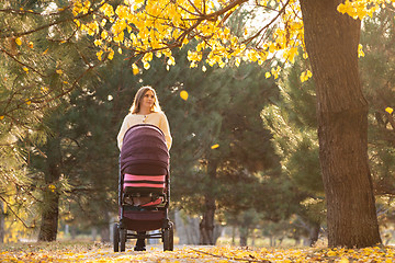 Image showing Young girl on a walk with a stroller