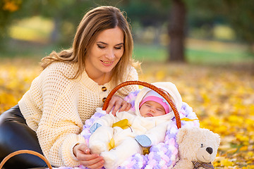 Image showing Mom put the child in a basket and crouched next to her, resting in the park