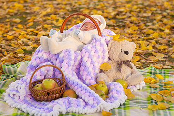 Image showing An impromptu picnic for a two-month-old baby sleeping in a basket in a park