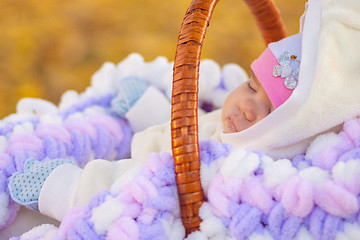 Image showing Baby sleeps in basket in autumn park, close up