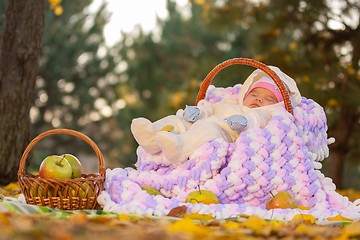 Image showing The baby sleeps in a basket in the autumn forest, next to a basket of apples