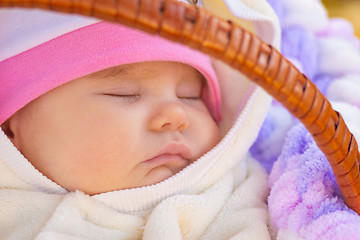 Image showing Close-up of the face of a toddler sleeping in a basket on a walk