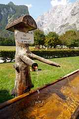 Image showing wooden water supply and Alps with fresh green meadows and blooming flowers and snowcapped mountain tops in the background