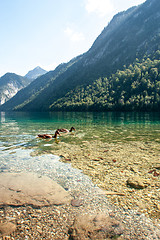 Image showing Stunning deep green waters of Konigssee, known as Germany deepest and cleanest lake