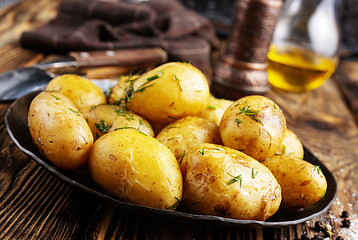 Image showing potato