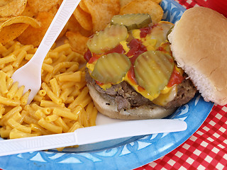 Image showing Picnic Burger