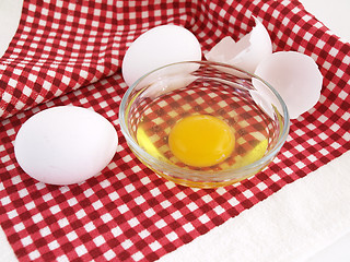 Image showing Egg Preparation