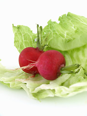 Image showing Radishes and Lettuce