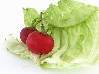 Image showing Lettuce Leaf and Radishes