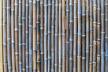 Image showing Bamboo Background