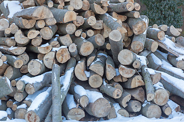 Image showing Firewood