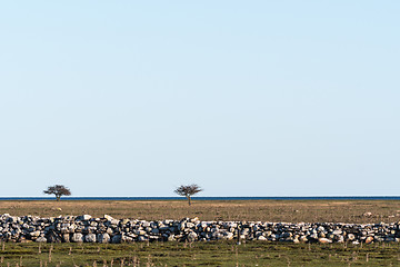 Image showing Great plain grassland with trees and a dry stone wall