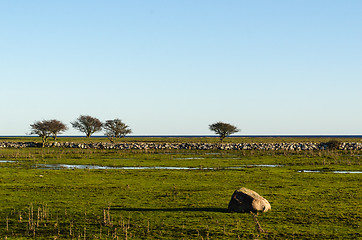 Image showing Great plain grassland on the island Oland in the Baltic Sea