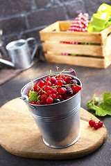 Image showing red currant