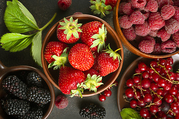 Image showing berries