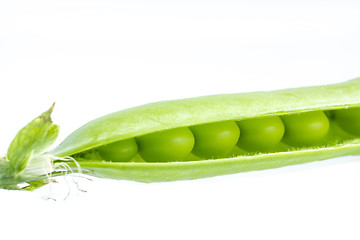 Image showing Opened green pea pod with peas is concept macro of organic food