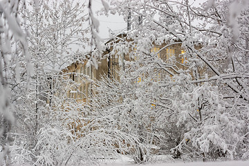 Image showing Light in house windows through snowy branches of trees on winter morning