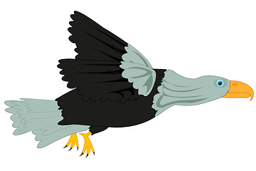 Image showing Bird eagle on white background is insulated