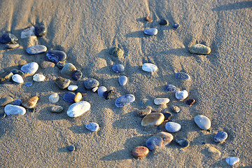 Image showing Close-up of pebbles in the sunlight on sandy beach