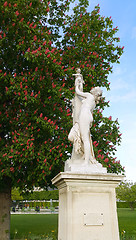 Image showing Decoration of Tuileries garden in Paris