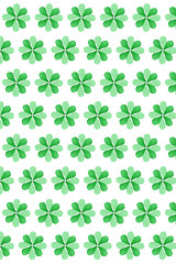 Image showing St.Patrick \'s Day creative background from clover\'s leaves.