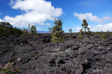 Image showing Lava at Hawaii, United States of America