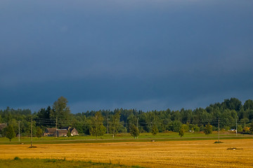 Image showing Landscape of yellow cornfield and blue sky.