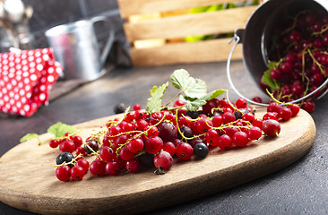 Image showing red currant