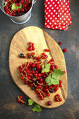 Image showing red currant