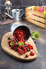 Image showing red currant