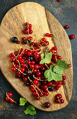 Image showing red currant