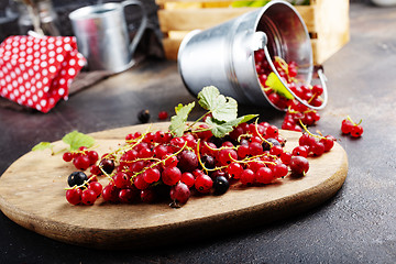 Image showing red currant