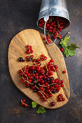 Image showing red currant