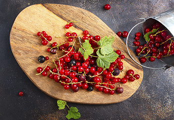 Image showing red currant