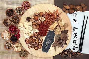 Image showing Chinese Alternative Herbal Medicine