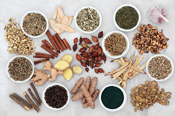 Image showing Asthma Relieving Herbs and Spice