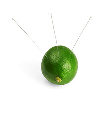 Image showing lime and needle