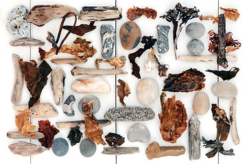 Image showing Driftwood Seaweed and Pebble Abstract