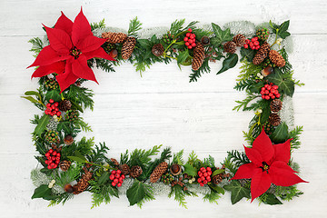 Image showing Poinsettia Flower Border