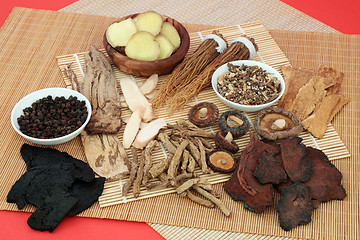 Image showing Traditional Chinese Tonic Herbs 