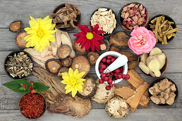 Image showing Traditional Chinese Herbs