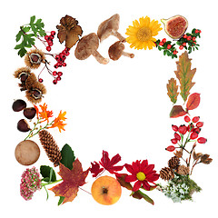 Image showing Natural Autumn Wreath