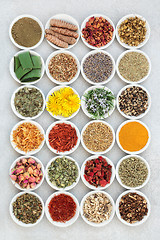 Image showing Herbal Medicine for Skin Care