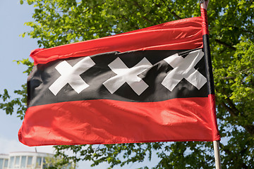 Image showing Flag of Amsterdam