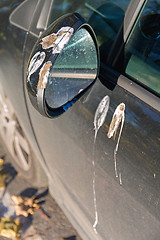 Image showing Bird Droppings Mirror