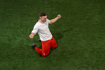 Image showing Football player tackling ball over green grass background